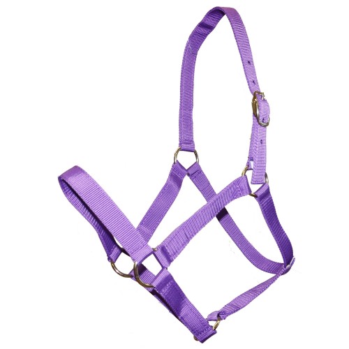 Stable Halter Pack   Full - 5 Pack Halters Assorted